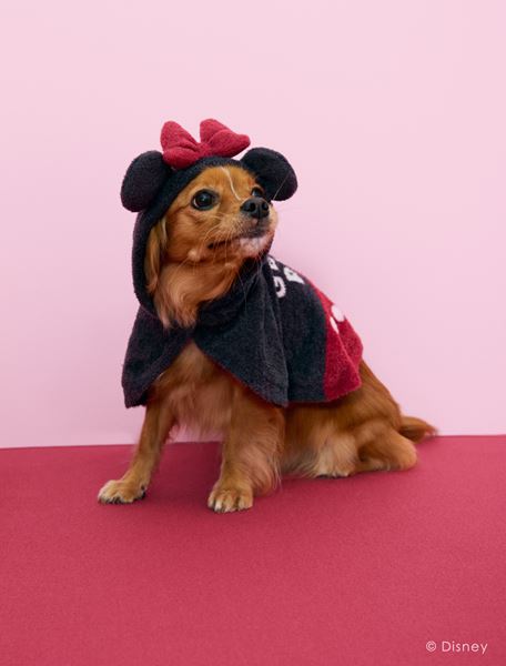 【SALE】ジェラートピケDisneyコラボシリーズ 本日発売 ジェラピケのディズニーコラボ 販売している店舗は限定