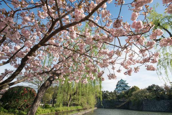 提供：公益財団法人名古屋観光コンベンションビューロー