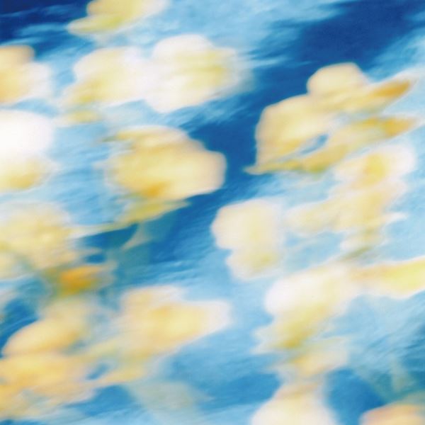 /shared/materials/2a5b953e-66e9-4462-a01f-d204b9502caf/thumbnail