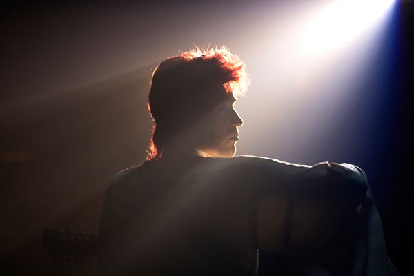 (C)COPYRIGHT 2019 SALON BOWIE LIMITED, WILD WONDERLAND FILMS LLC