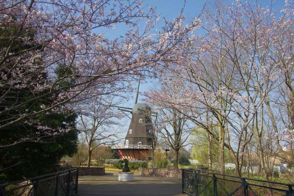 （c）ふなばしアンデルセン公園