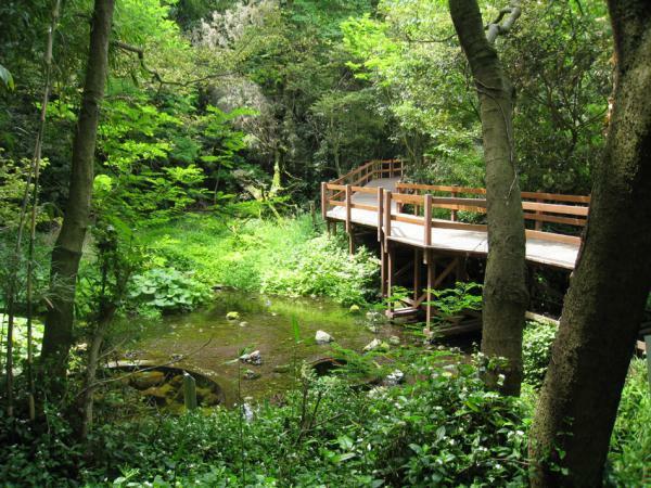 提供：清水町