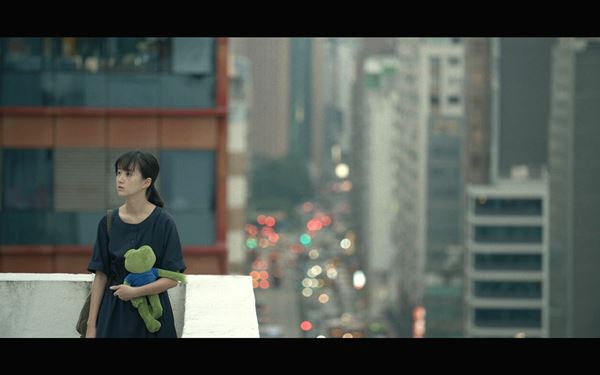 (C)Animal Farm Production