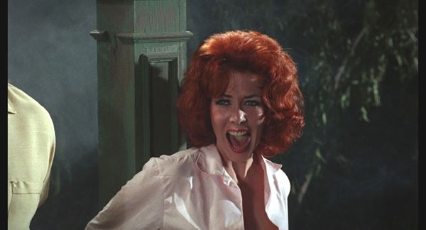 (C)1965 Astra Productions, under license from Vinegar Syndrome