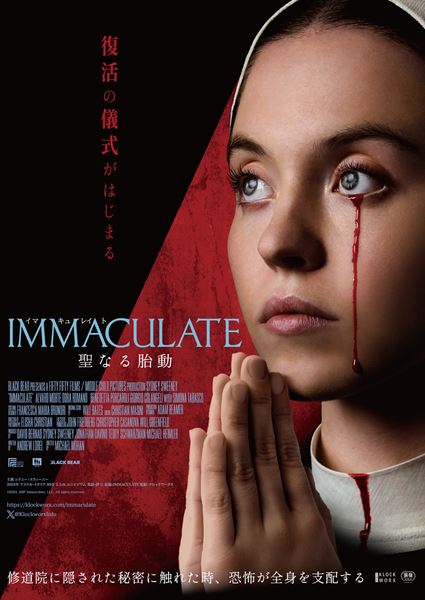 (C)2024, BBP Immaculate, LLC. All rights reserved.