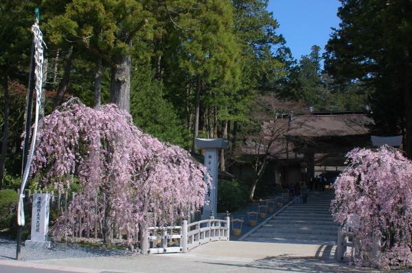 提供：総本山金剛峯寺