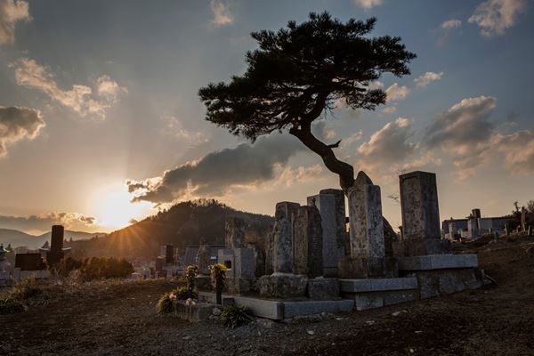 (C) 2020 Yuigon Project All Rights Reserved.