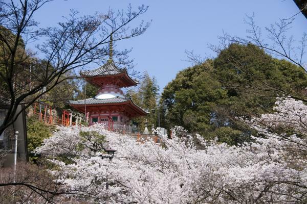 提供：信貴山朝護孫子寺