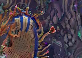 画像が削除されました