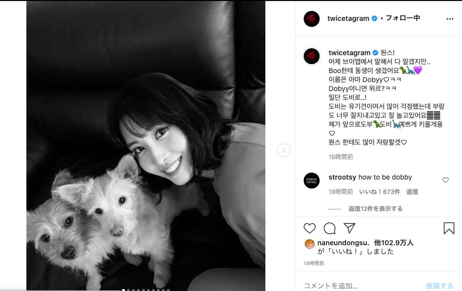 Twice モモ ブーに続く新たな愛犬をインスタで公開 弟ができました ぴあエンタメ情報