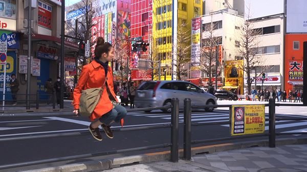 (C)2011 ギャンビット