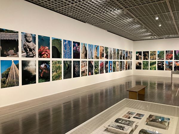 中平卓馬 火―氾濫』東京国立近代美術館で開幕 初期から晩年までを網羅 