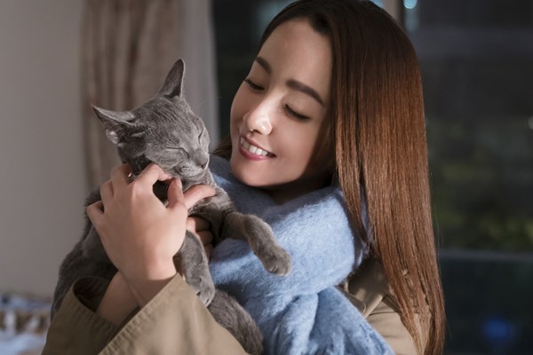 (C)2018 『猫は抱くもの』製作委員会