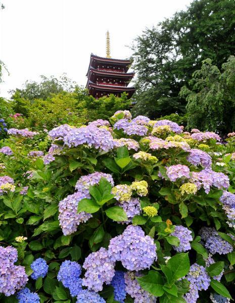 提供：公益社団法人千葉県観光物産協会