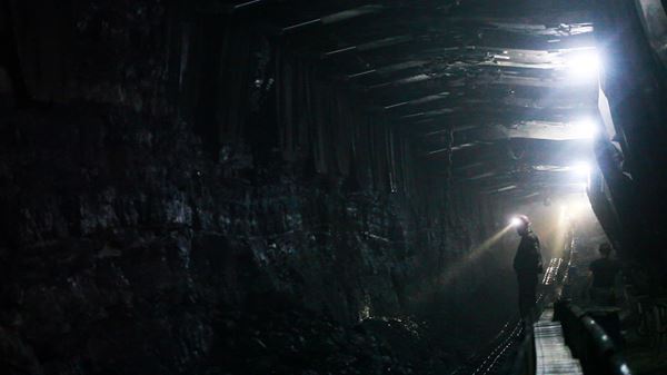 (C)film.factory／FieldRAIN