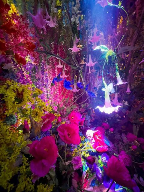 (c)mika ninagawa, Courtesy of Tomio Koyama Gallery ※展示イメージ