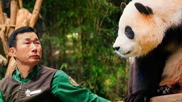 (C)2024 ACOMMZ and EVERLAND RESORT. All rights reserved