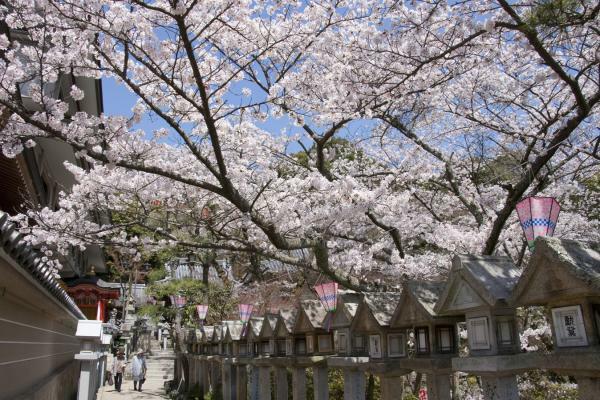 提供：信貴山朝護孫子寺