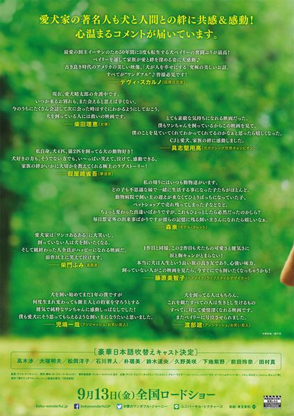 (C)2019 Storyteller Distribution Co., LLC, Walden Media, LLC and Alibaba Pictures Media, LLC.