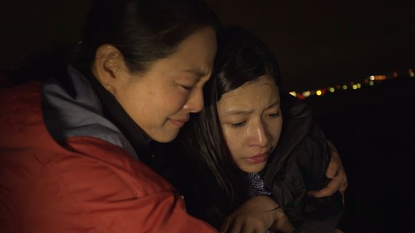 (C)スーパーサウルス