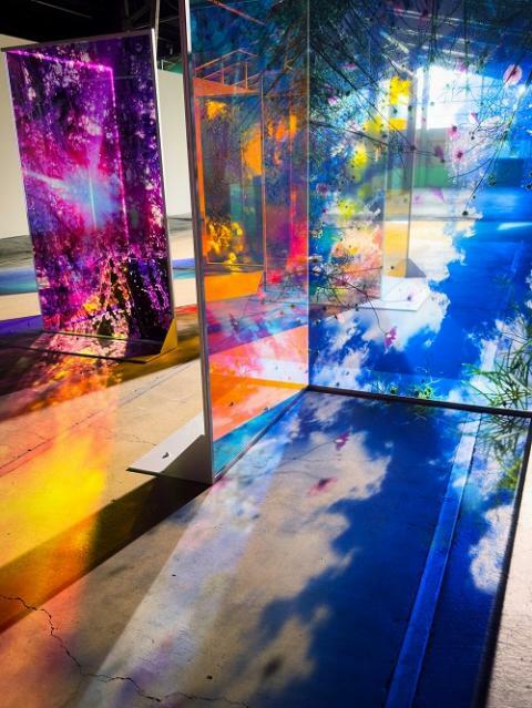 (c)mika ninagawa, Courtesy of Tomio Koyama Gallery ※展示イメージ