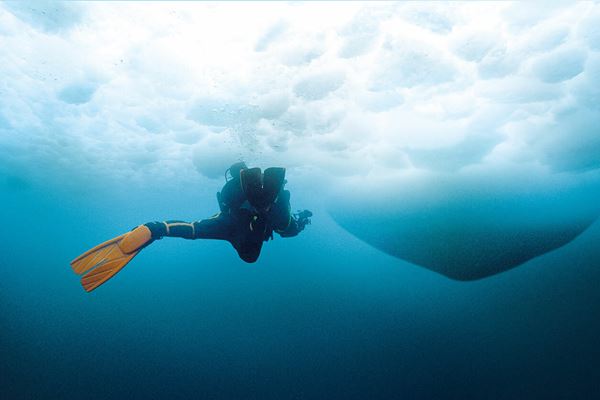 (C)東京流氷～COOL IT DOWN～」製作委員会