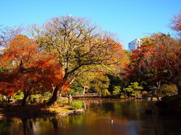 （c）有栖川宮記念公園