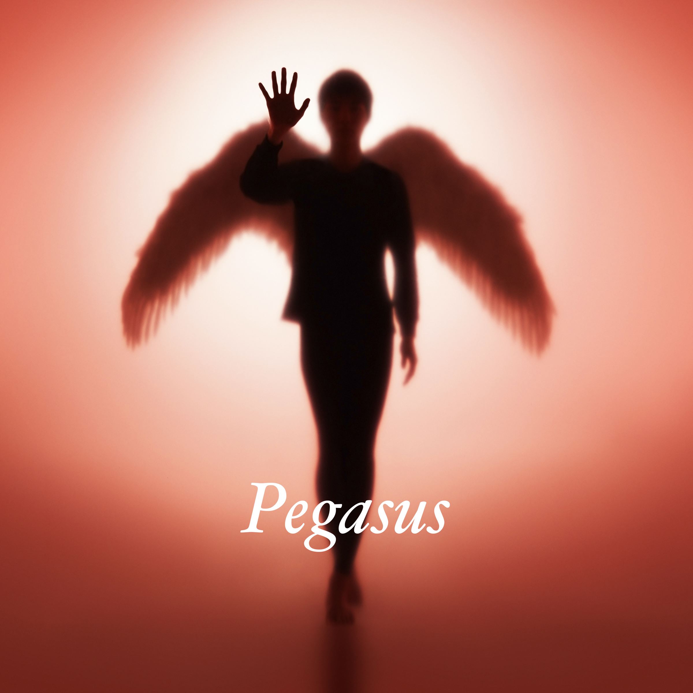 『Pegasus』ジャケット