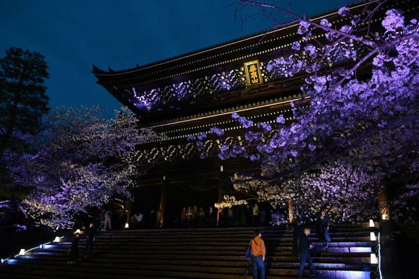 提供：総本山知恩院