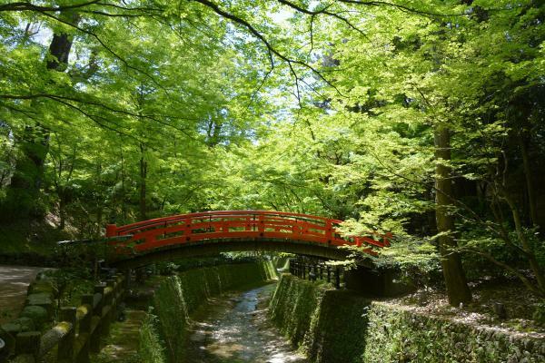 提供：北野天満宮