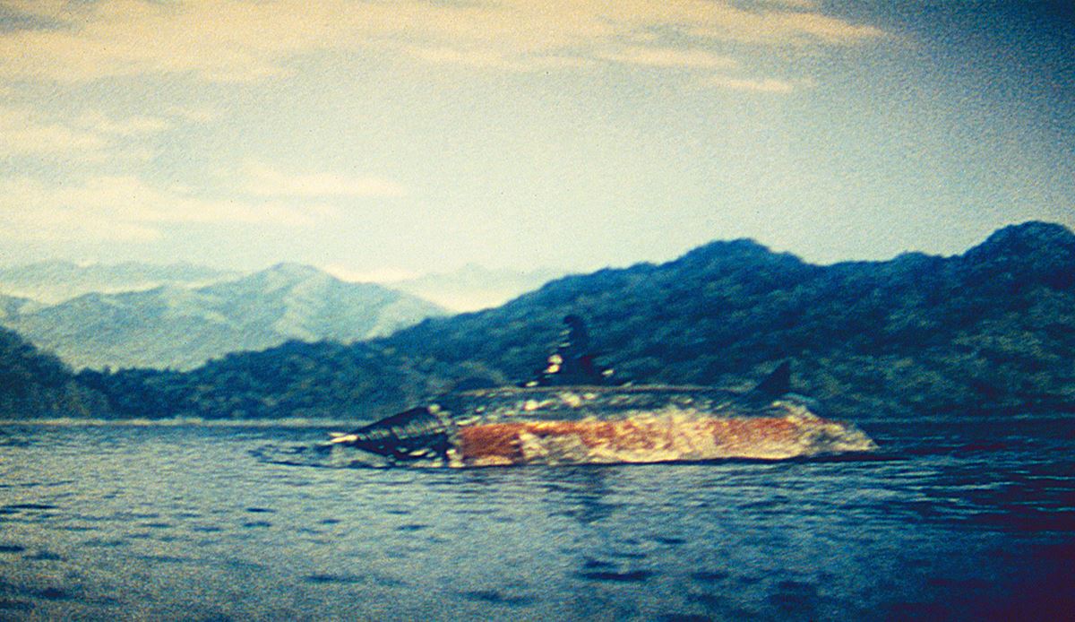 Amazon.co.jp: 海底軍艦 [DVD] : 高島忠夫, 藤木悠, 藤山陽子
