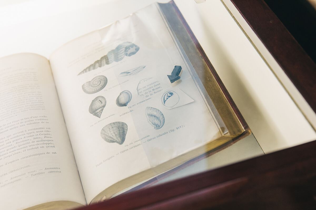 マックス・エルンストが作品のモチーフに引用していた自然科学に関する本。福沢は同じ本をパリで入手し、研究したそう