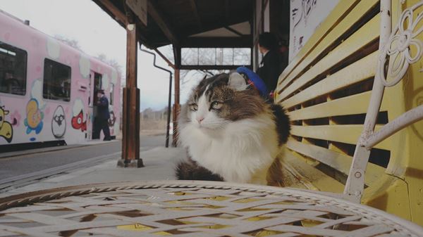 (C)劇場版「にゃん旅鉄道」製作委員会