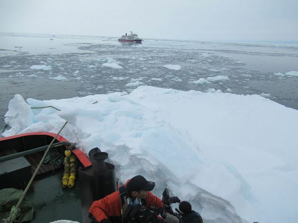 (C)東京流氷～COOL IT DOWN～」製作委員会