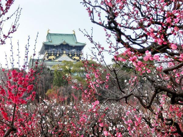 提供：公益財団法人大阪観光局