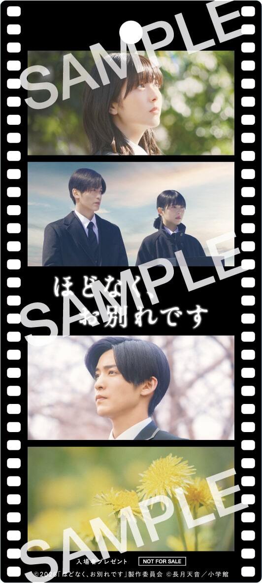 浜辺美波×目黒蓮の映画「ほどなく、お別れです」3日間限定で入場者