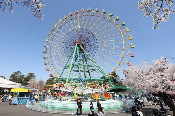 Auto Mirai 華蔵寺遊園地