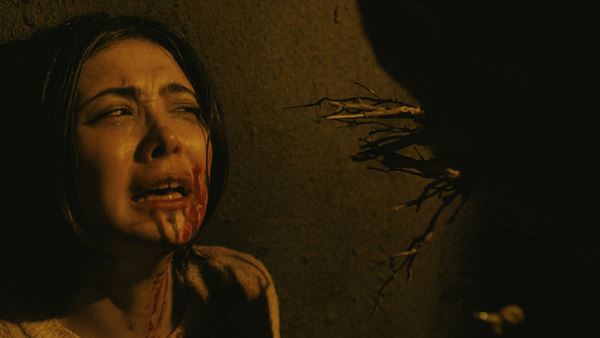 (C)2019 Bright Moon Entertainment,LLC All Rights Reserved.