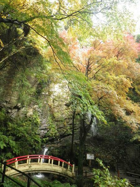 黒山三滝の紅葉 ぴあエンタメ情報