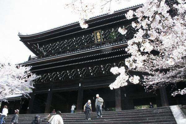 知恩院の桜 ぴあエンタメ情報