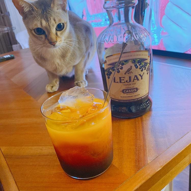 ねえ みんな家で何してる Vol 上坂すみれ編 ぴあエンタメ情報