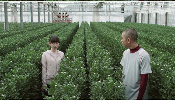 (C)2017映画「野球部員、演劇の舞台に立つ！」製作・配給委員会／京映アーツ／コチ・プラン・ピクチャーズ