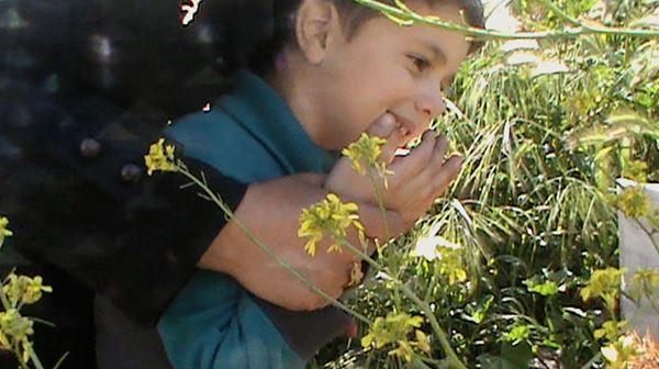 (C)2014 - LES FILMS D'ICI - PROACTION FILM