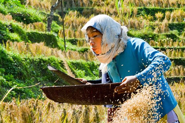 (C)the u-ra-mi-li project