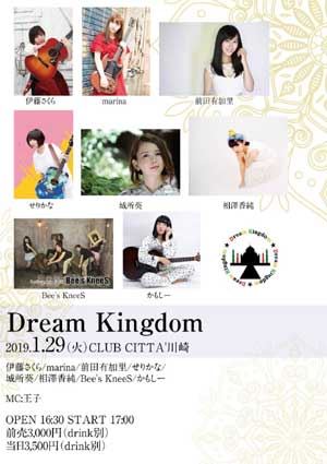 「Dream Kingdom」