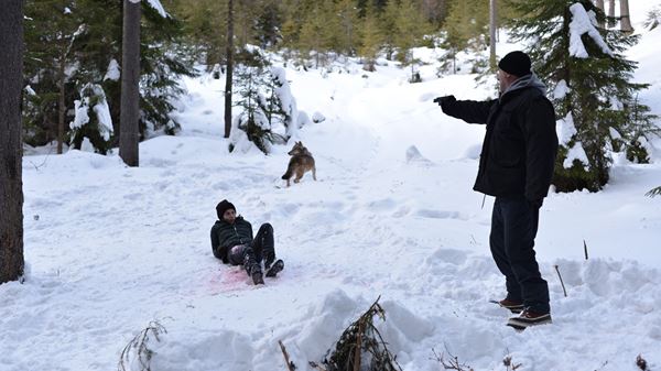 (C)EIGHT35-EASTWEST-GMT-WILD TRIBE-SEVEN 52-UKRAINIAN STATE FILM AGENCY‐ 2018