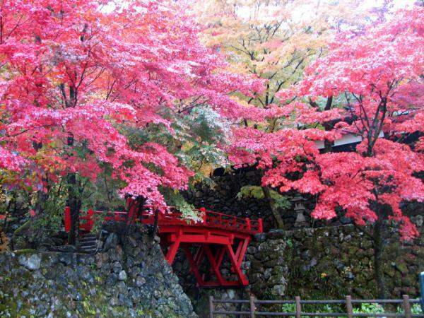 両界山横蔵寺の紅葉 ぴあエンタメ情報