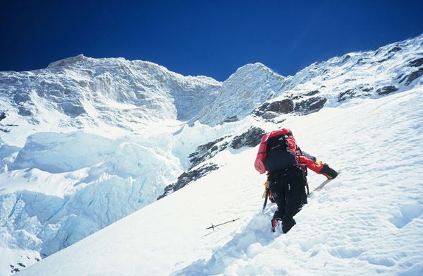 (C)ＴＢＳテレビ