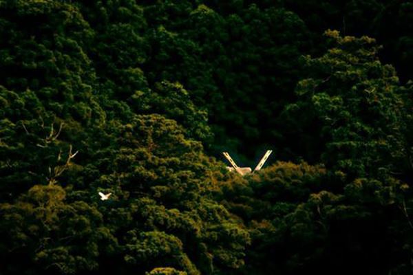 (C)2014 Masaaki Miyazawa/Jingu all right reserved. (C)2014 Sustain able Investor