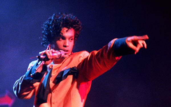 (C) 1987 PURPLE FILMS COMPANY. ALL RIGHTS RESERVED